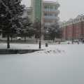 �ֻ��ĵ�